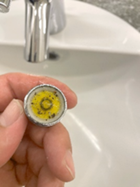 Der Legionellenhöchstwert gilt nicht für die gesamte Gebäudetrinkwasser-Installation, sondern nur für die Duschanlagen. Trotzdem ist es ratsam auch dort auf die nötige Hygiene zu achten. So sollte das Wassersieb regelmässig gereinigt werden. 